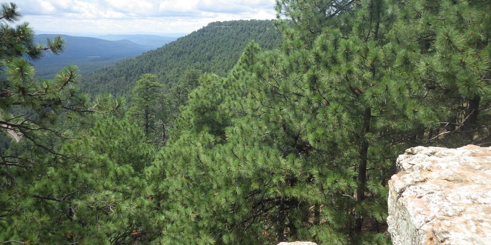 Mogollon Rim, Arizona